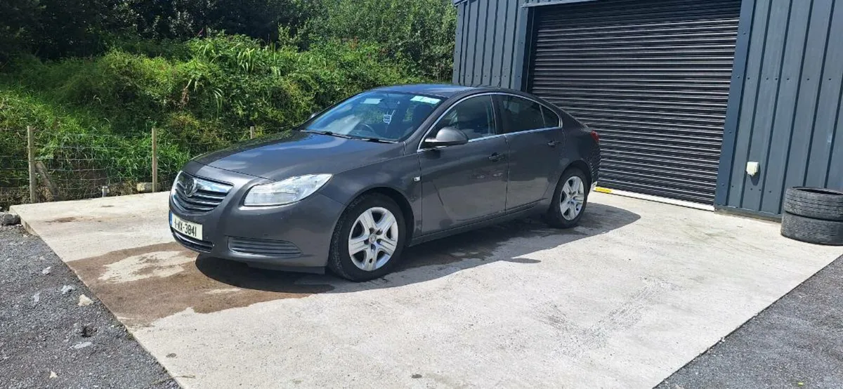 Vauxhall insignia - Image 1