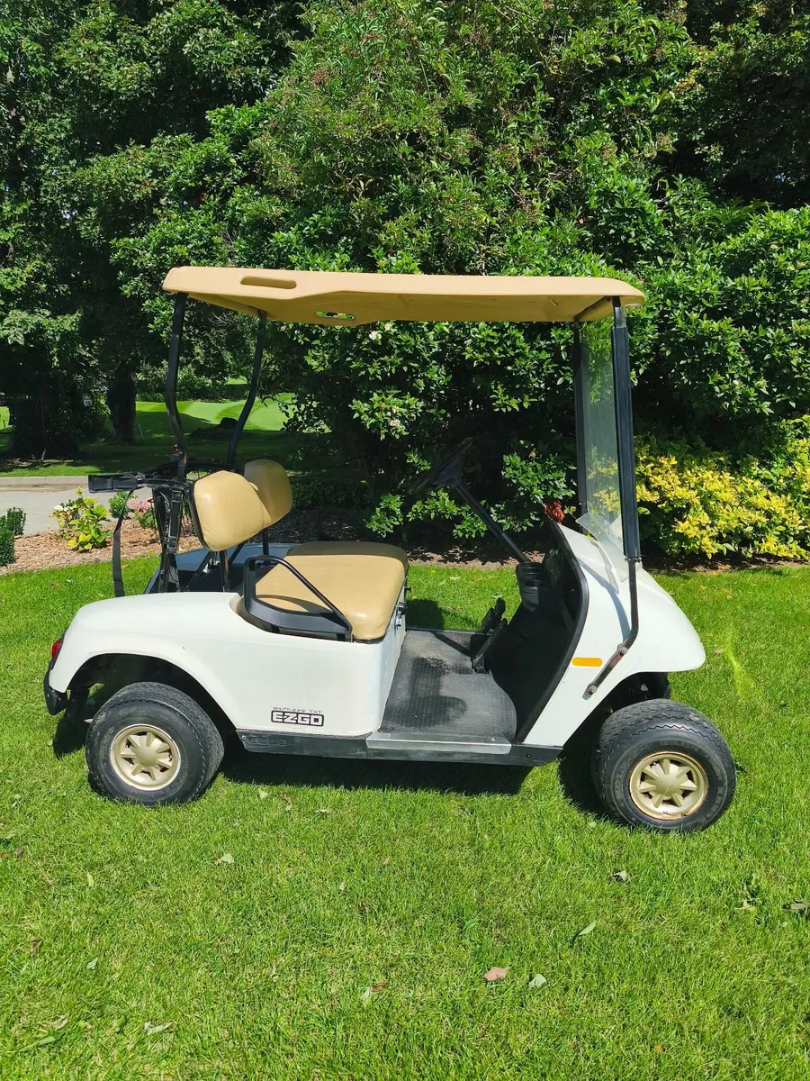 Golf Buggy - Image 1