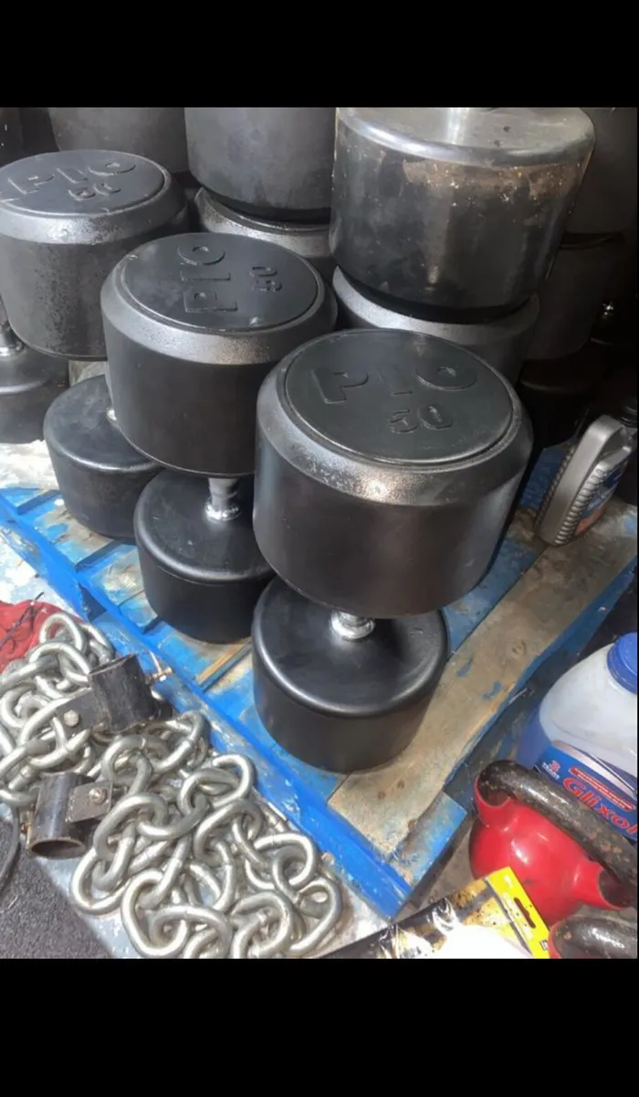PIO 50KG DUMBBELLS - Image 1