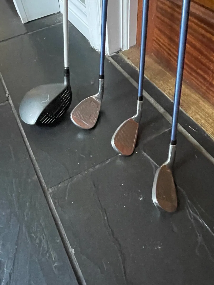 Ladies Golf Clubs - Image 1