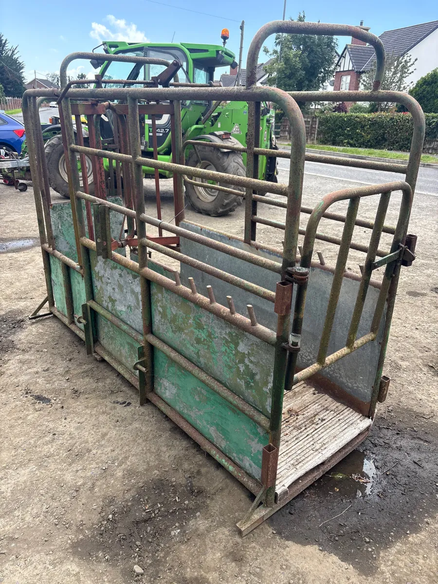 Tubar cattle crush - Image 2