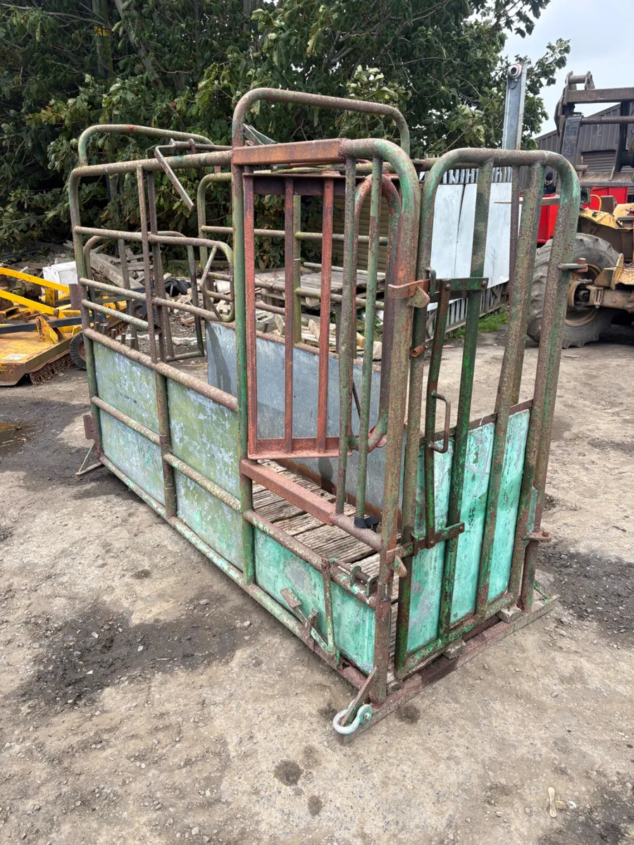 Tubar cattle crush - Image 1