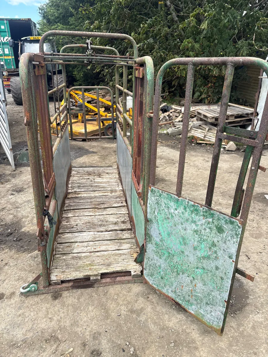 Tubar cattle crush - Image 3
