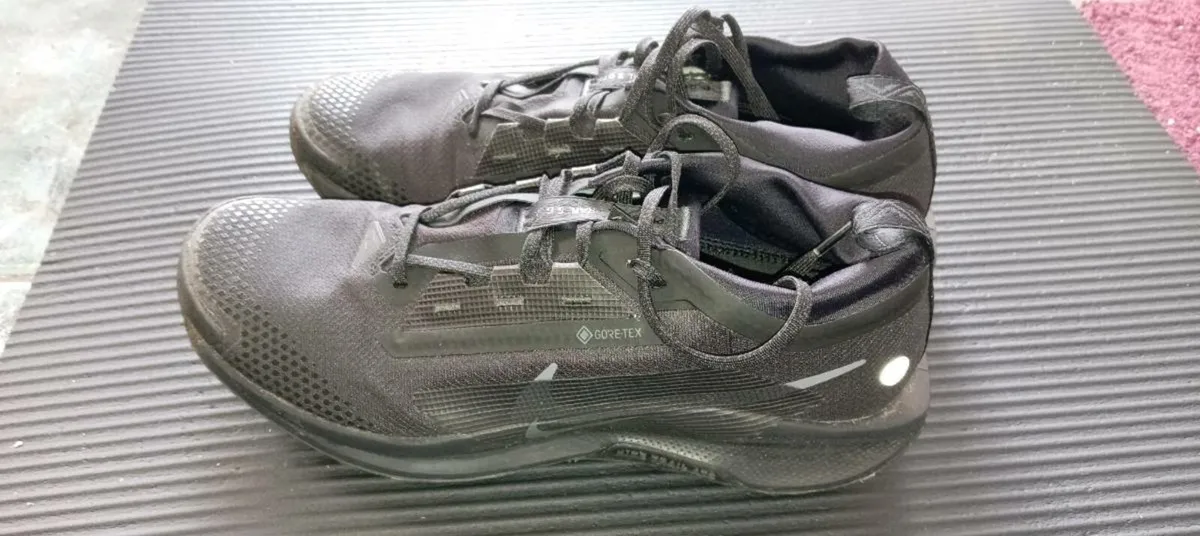 Nike Pegasus Trail 5 GTX UK 9.5 - Image 1