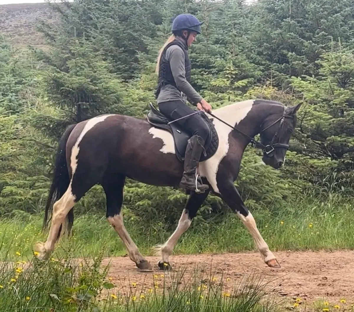148cm 4yo safe ride. - Image 1