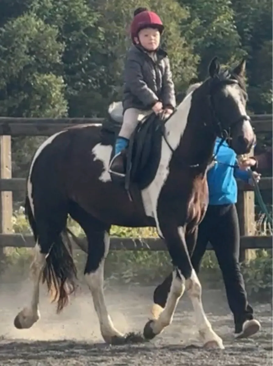 148cm 4yo safe ride. - Image 2