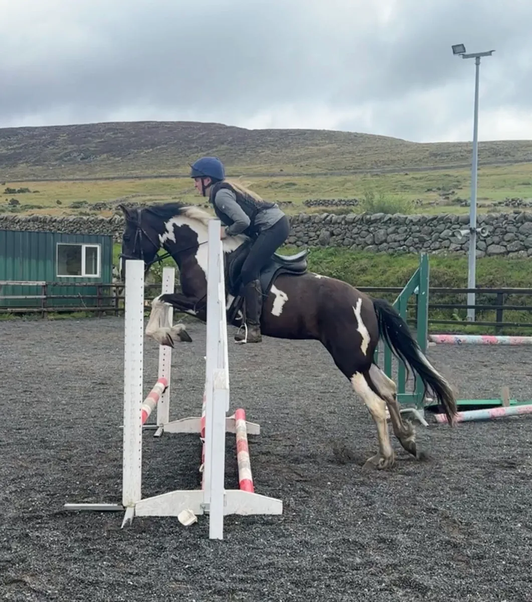 148cm 4yo safe ride. - Image 3