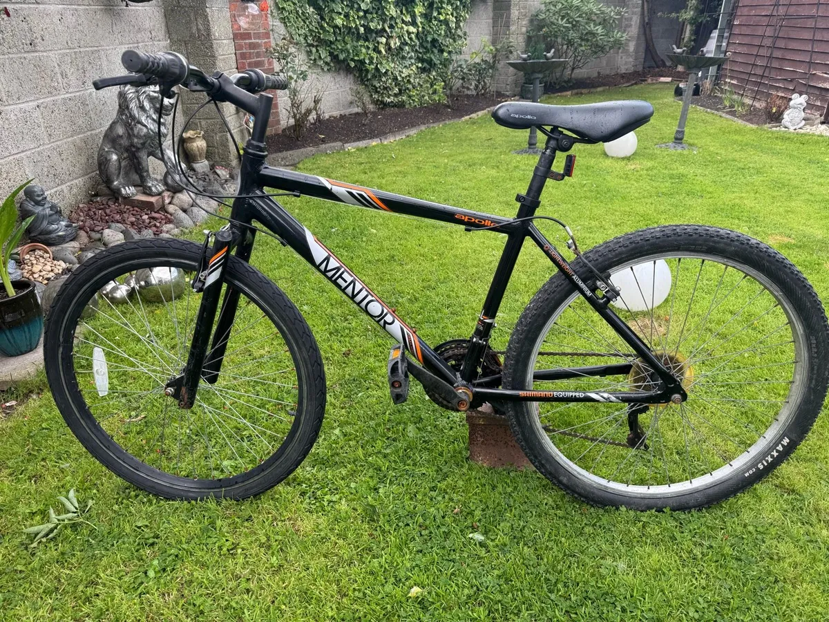 Junior bike - Image 1
