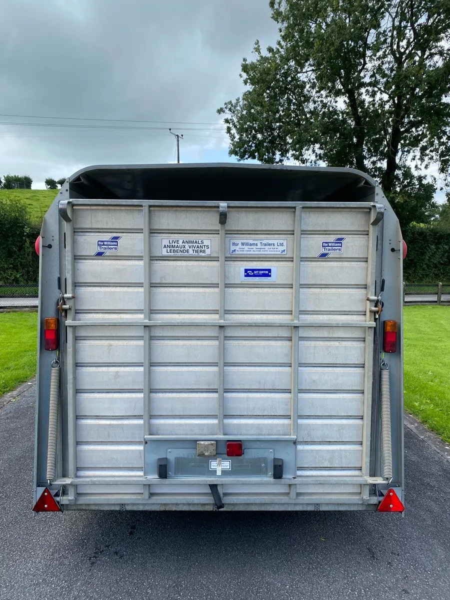 2019 Ifor Williams TA510G (12x6) Livestock Trailer - Image 3