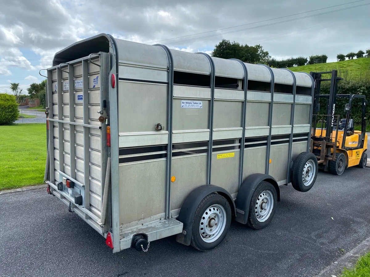 2019 Ifor Williams TA510G (12x6) Livestock Trailer - Image 4