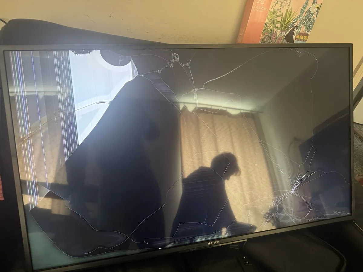 TV - Image 3