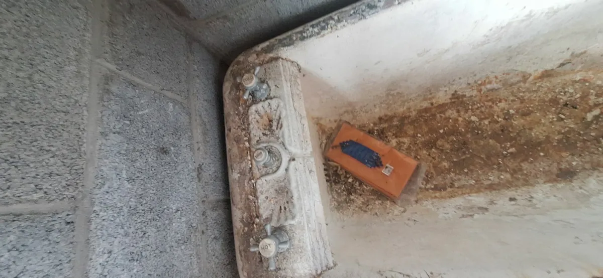 Antique - Image 1
