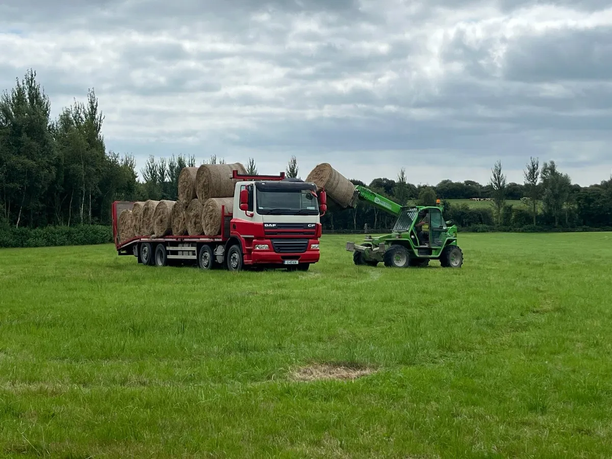 Organic Hay for sale - Image 1