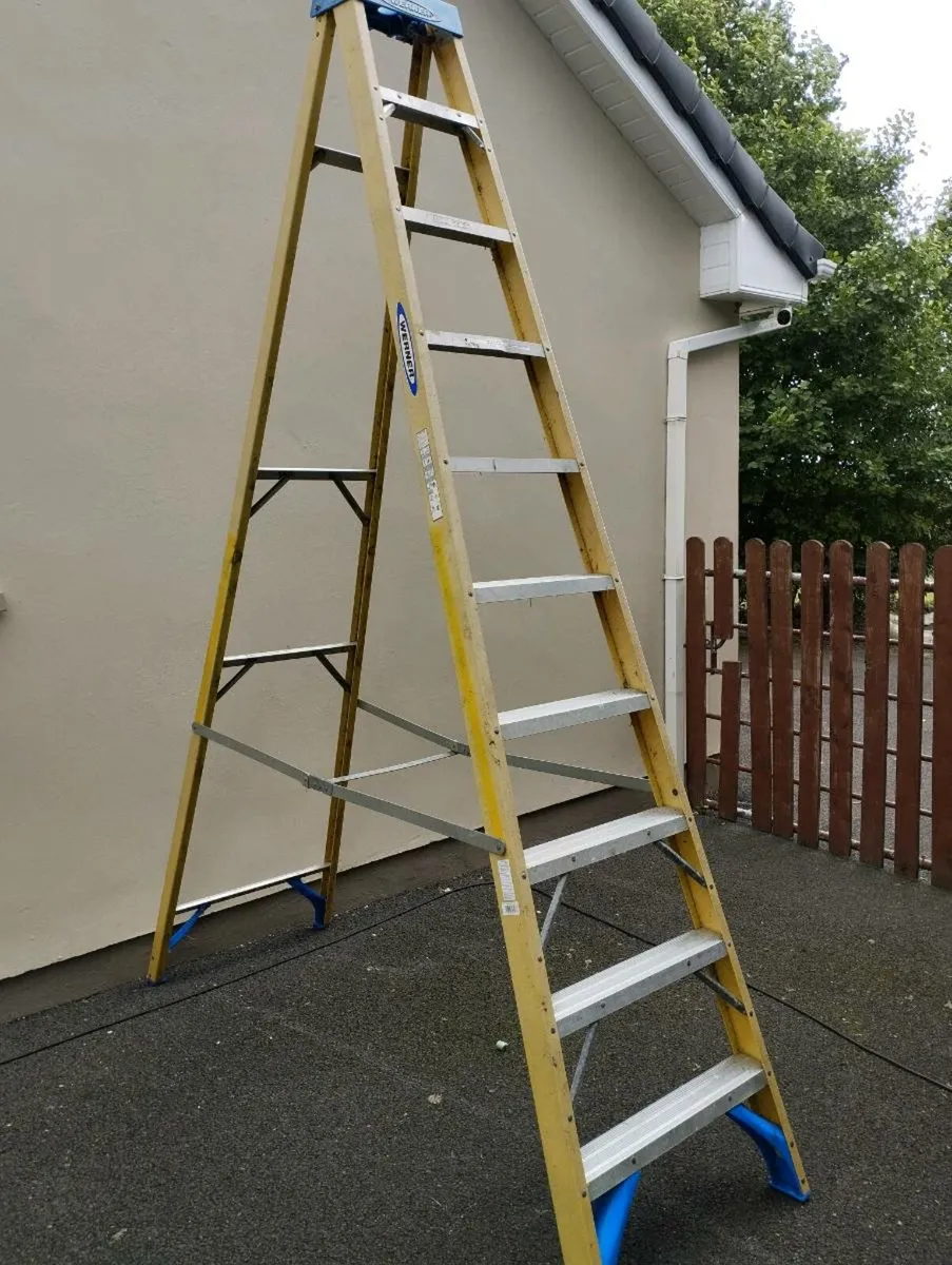 Ladders - Image 3