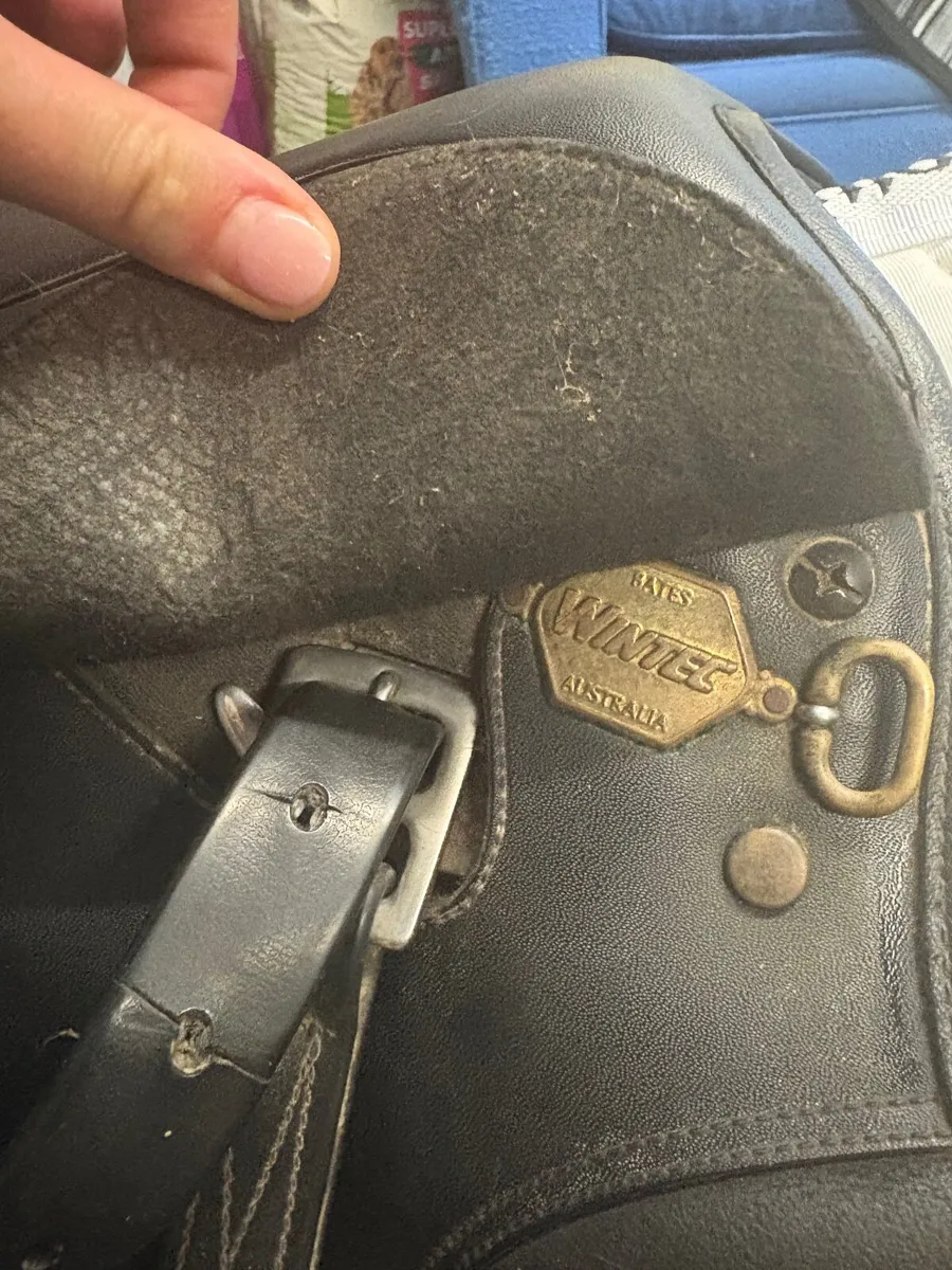 Pony Black Wintec Saddle + extras - Image 2