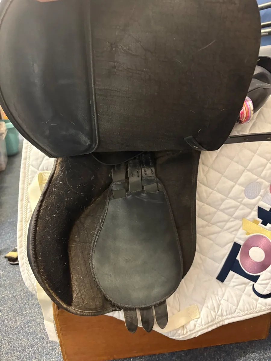Pony Black Wintec Saddle + extras - Image 3