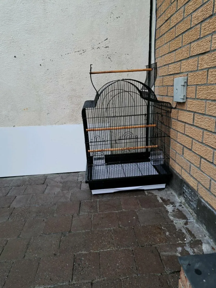 Bird cage - Image 4