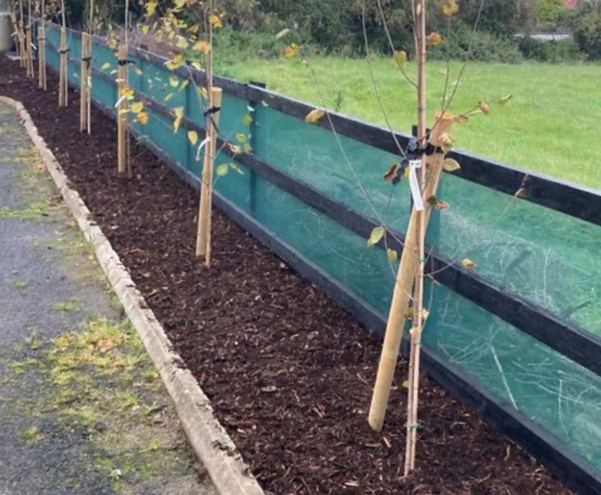 Garden wind break net protection for hedges aswell - Image 1