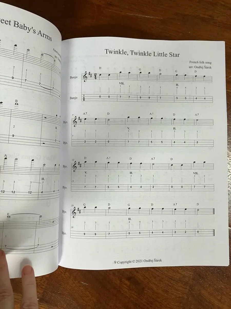 Single String Melodies for CGDA Tenor Banjo or Tenor Guitar - Image 2