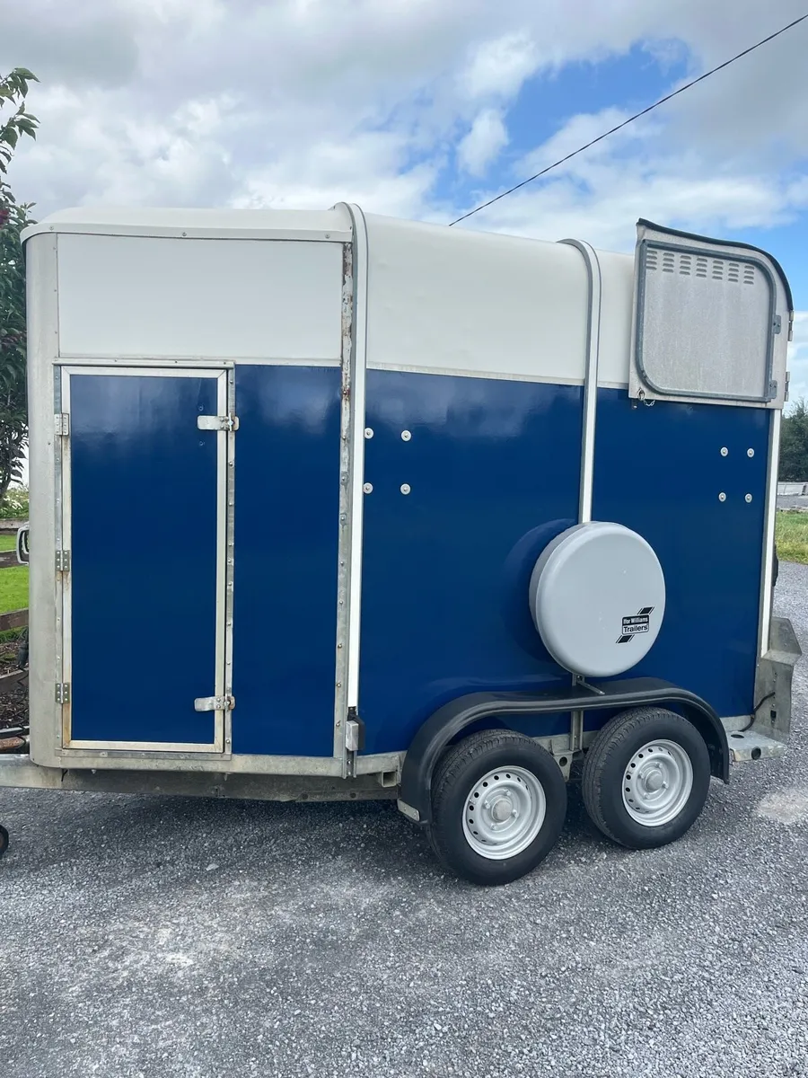 Ifor Williams 505R horse box - Image 1