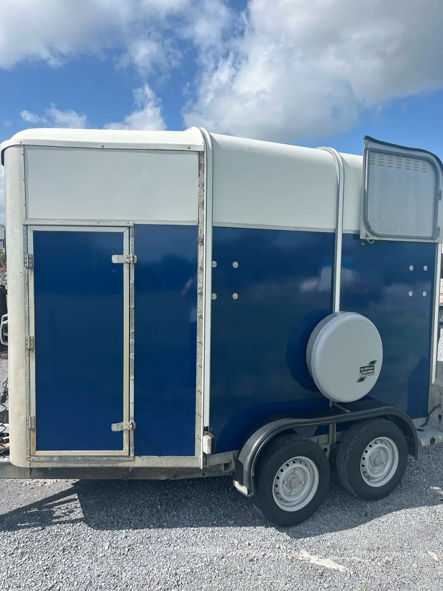 Ifor Williams 505R horse box - Image 2