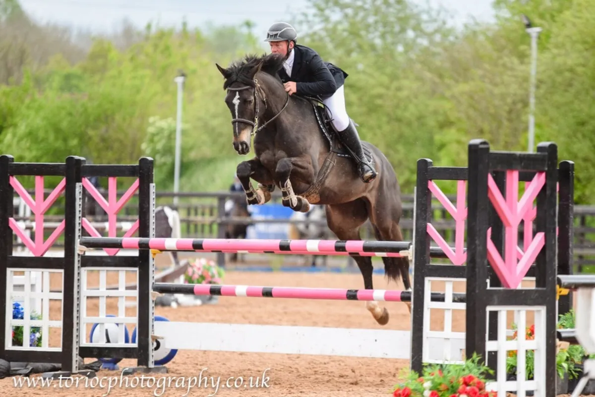 Showjumper - Image 1