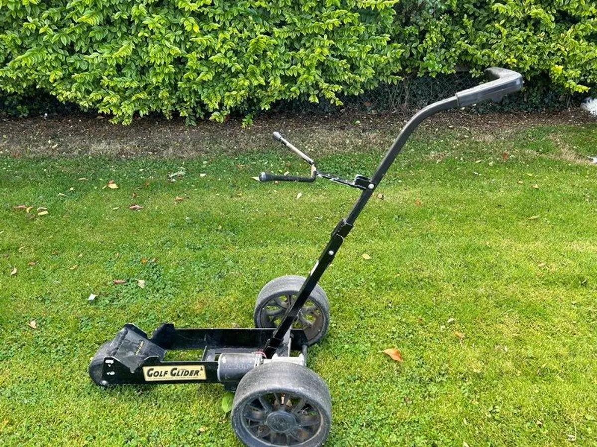 golf glider - Image 4