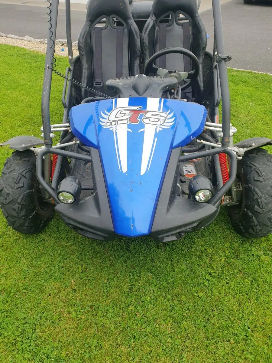 Buggy - Image 2