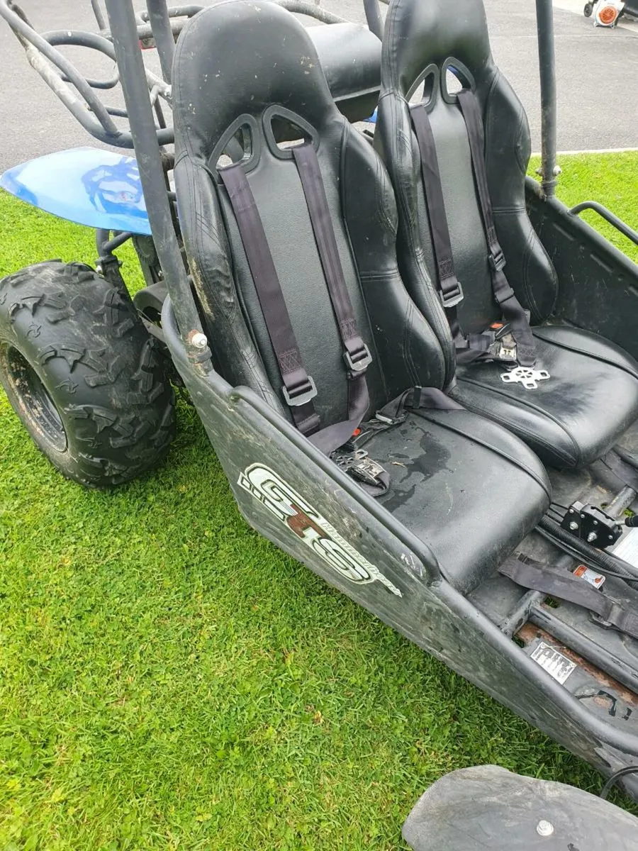 Buggy - Image 3