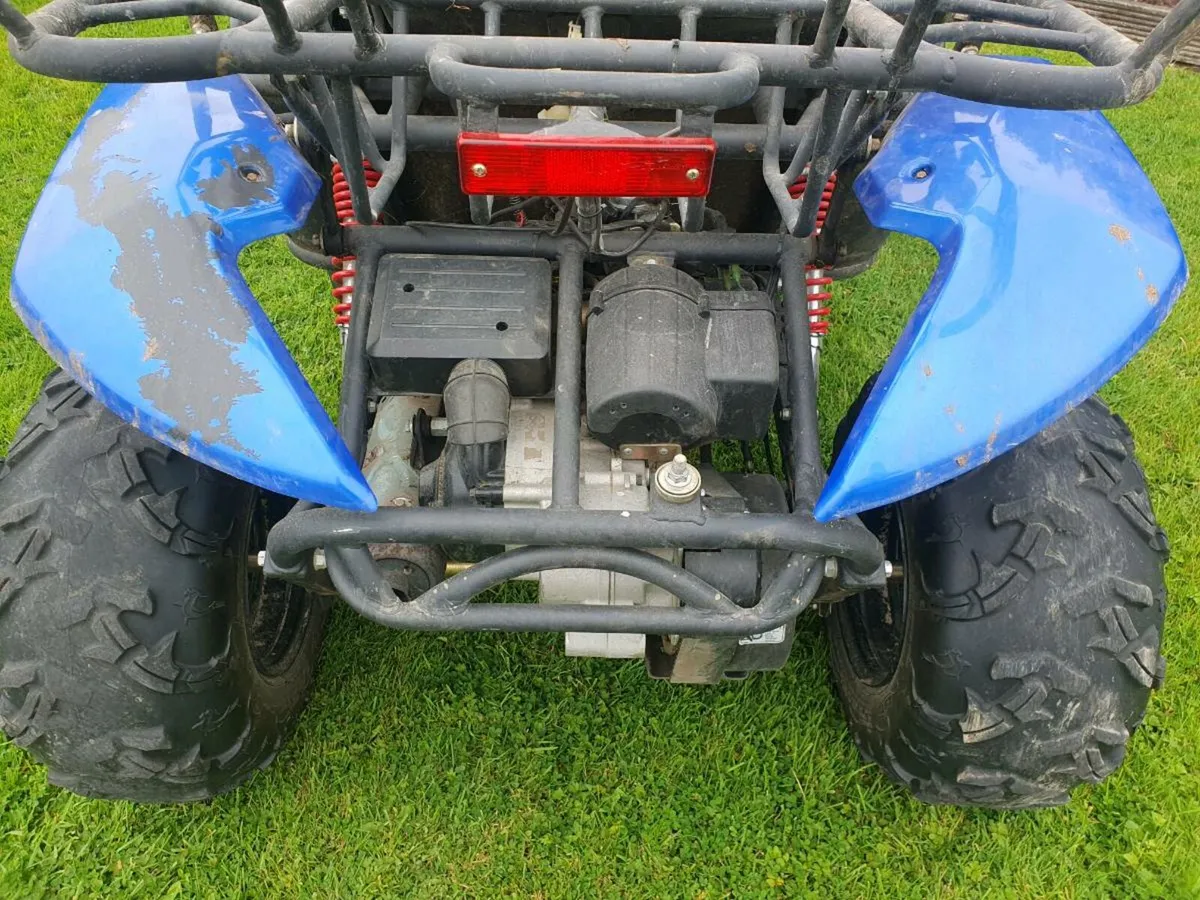 Buggy - Image 4