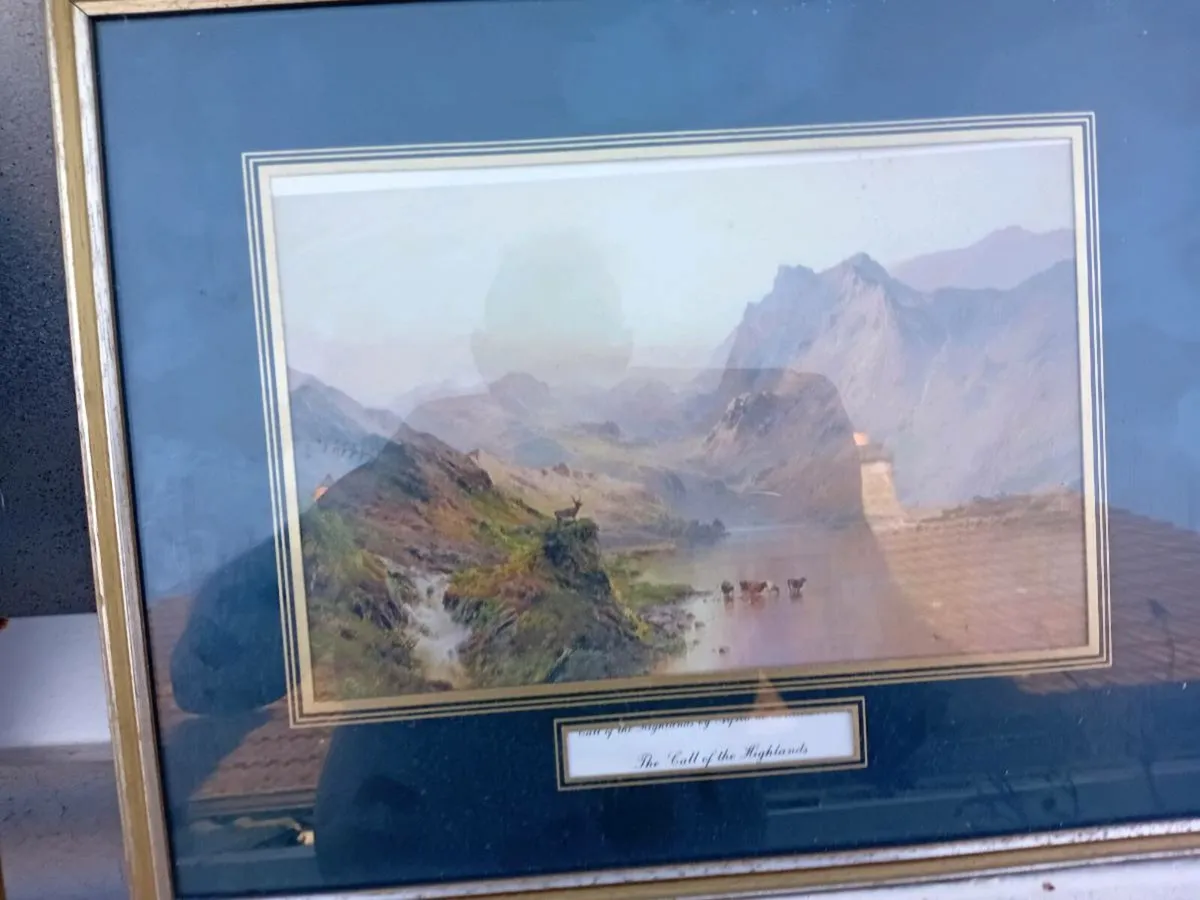 Pictures - Image 4