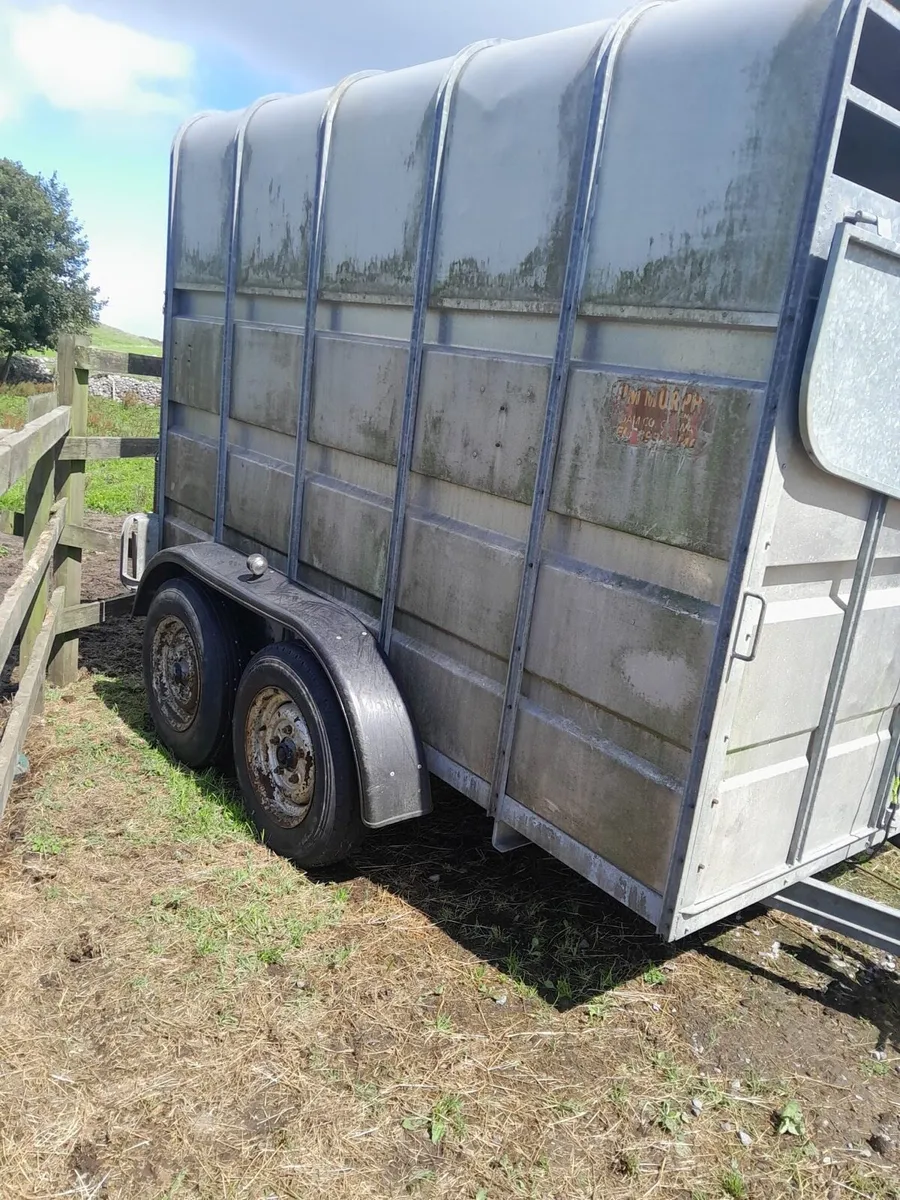 Murphy Trailer for Sale 10X6 - Image 1
