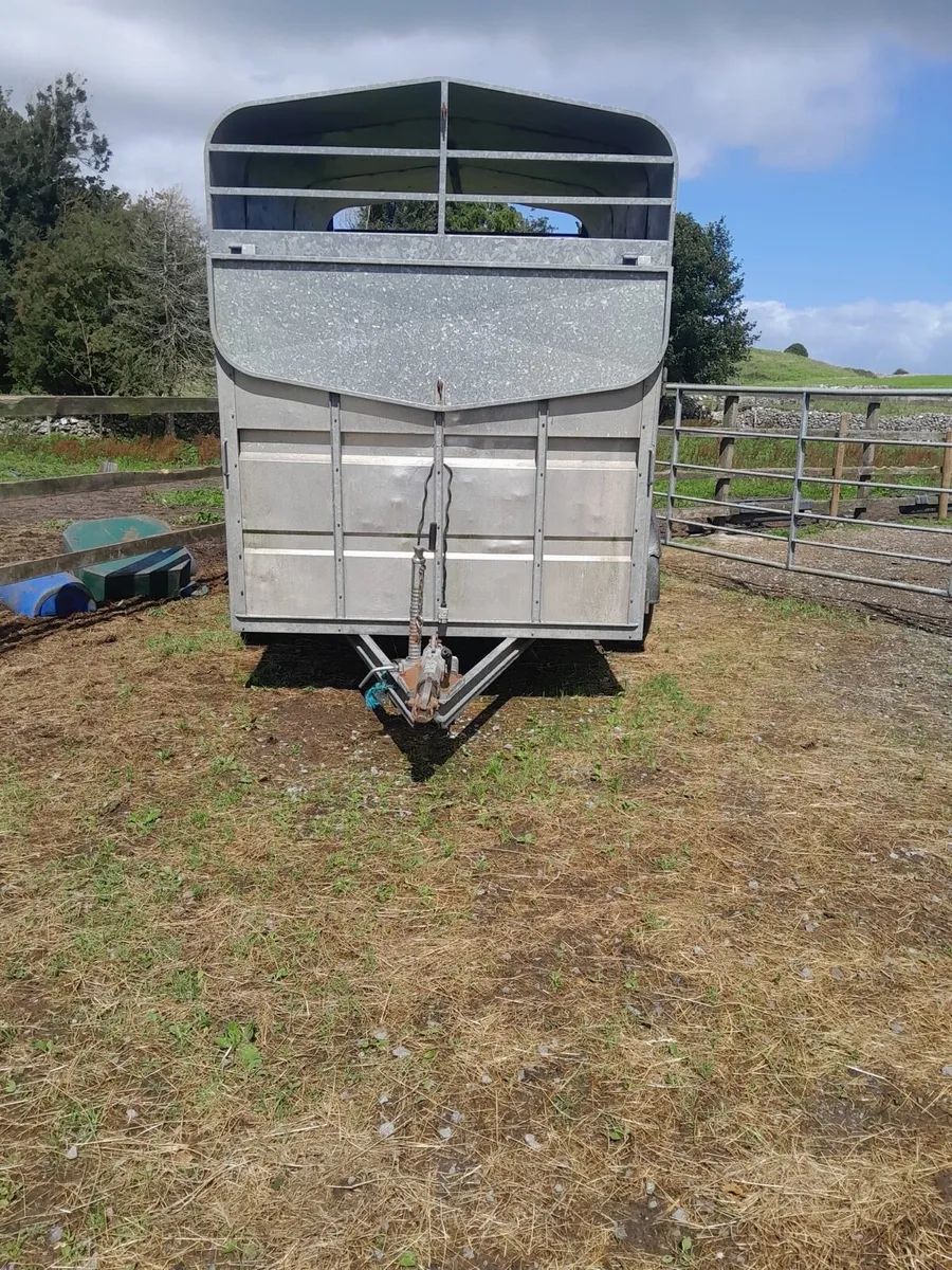 Murphy Trailer for Sale 10X6 - Image 2