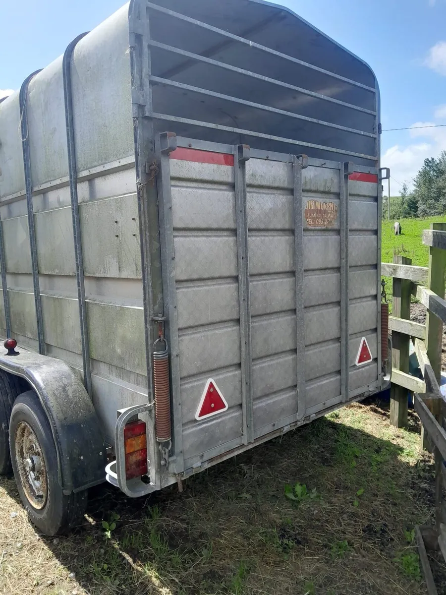 Murphy Trailer for Sale 10X6 - Image 3