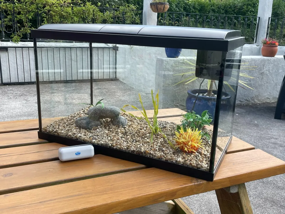 Fish Tank - Image 1