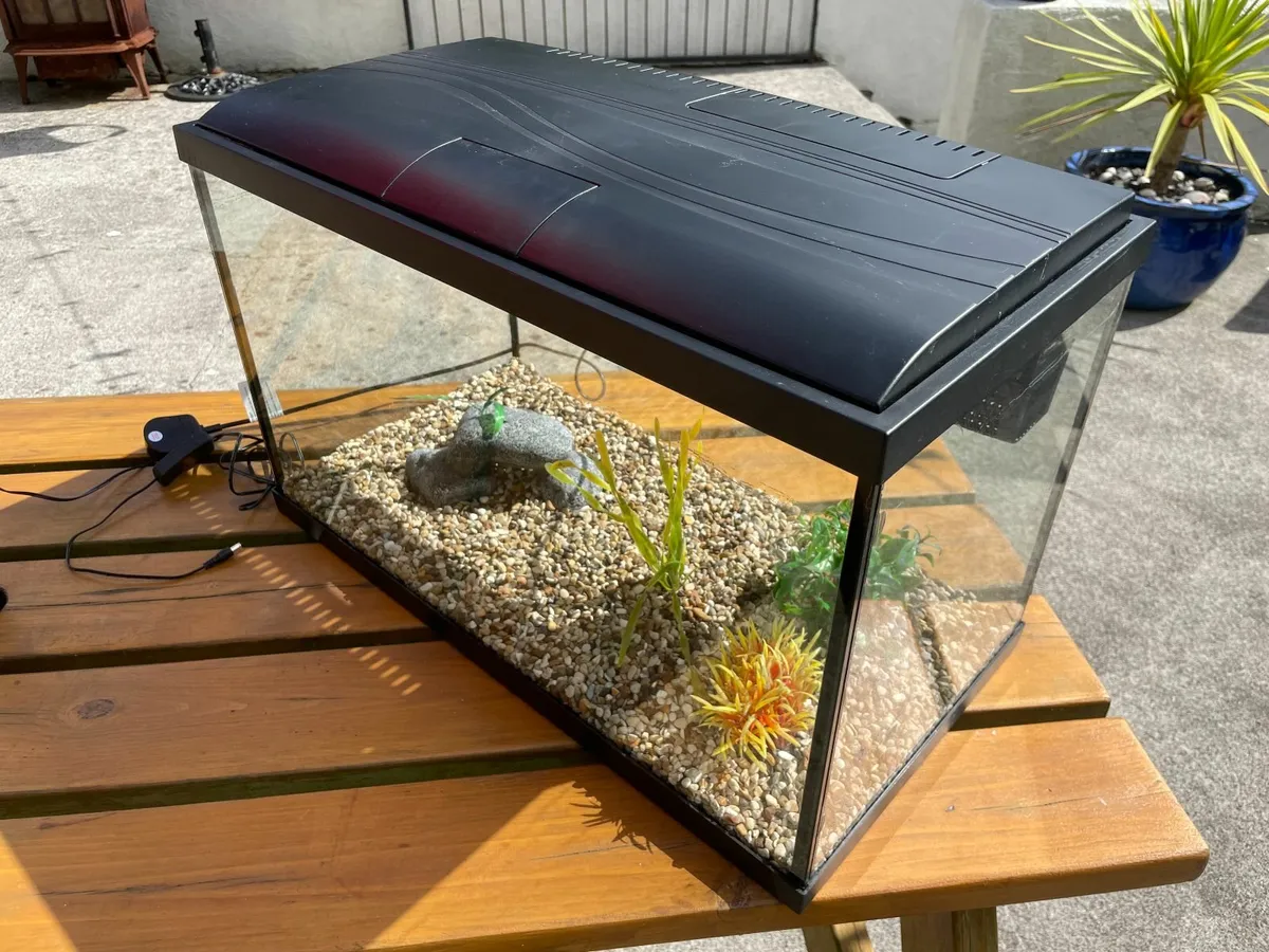 Fish Tank - Image 2