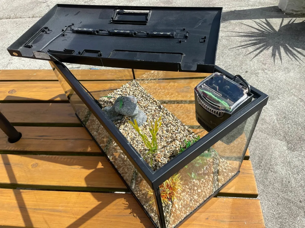 Fish Tank - Image 4