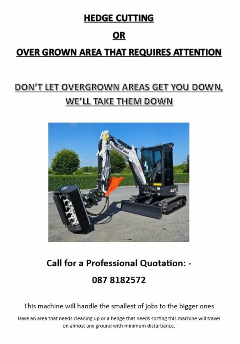 Hedge cutting - Image 2