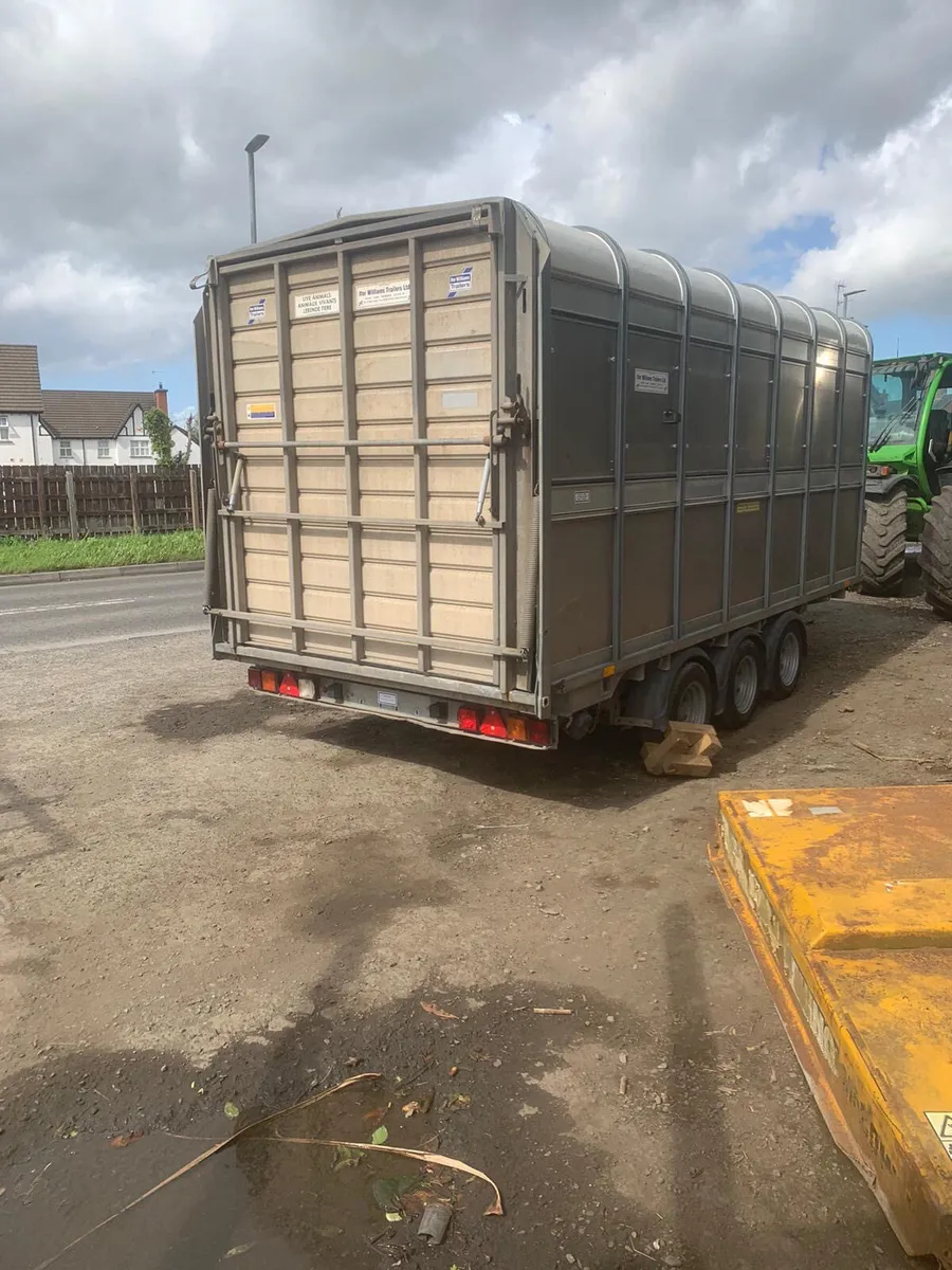 Ifor Williams DP 120 S3 14’x6’ cattle trailer - Image 3