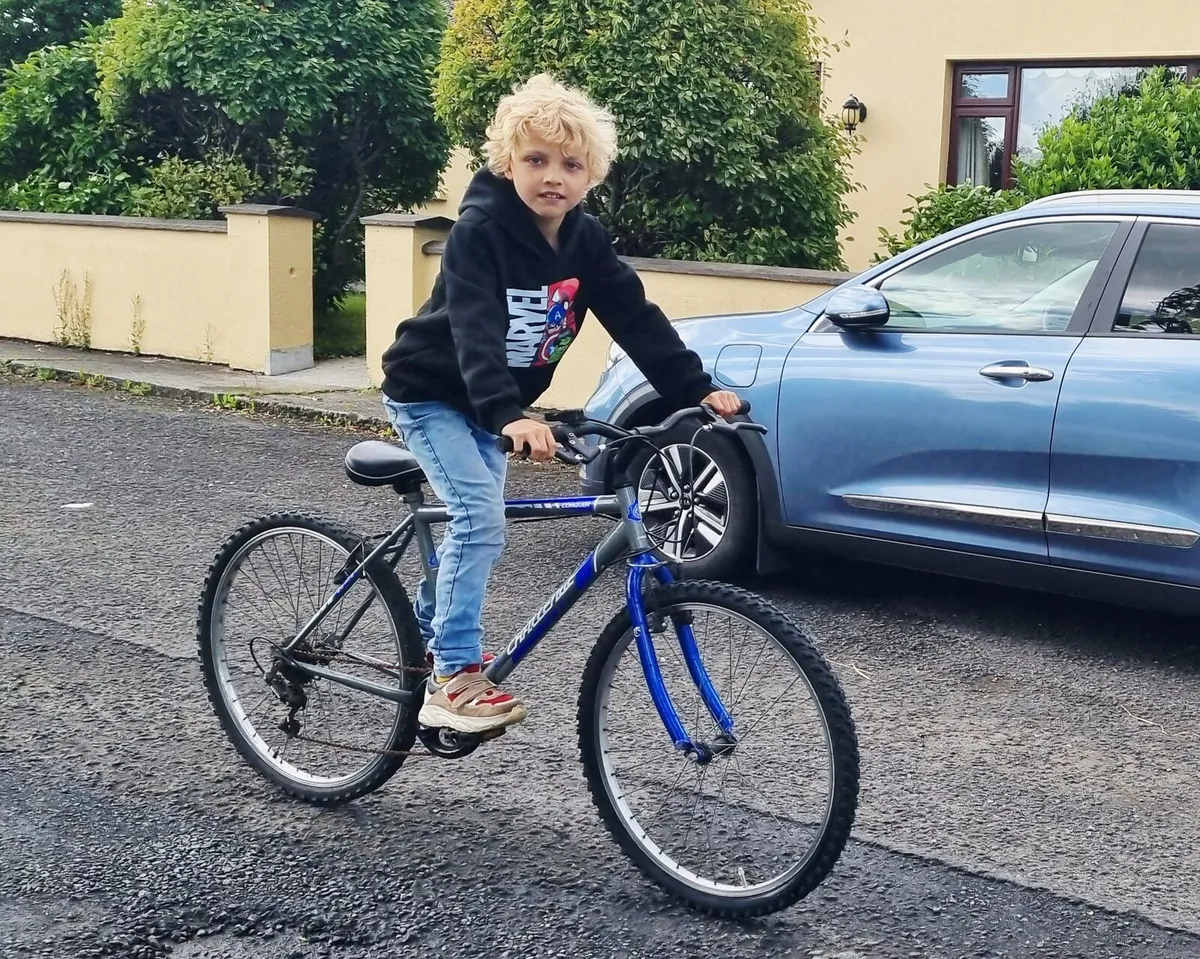 Challenger 26 Mountain Bike – Good for Teenager - Image 1