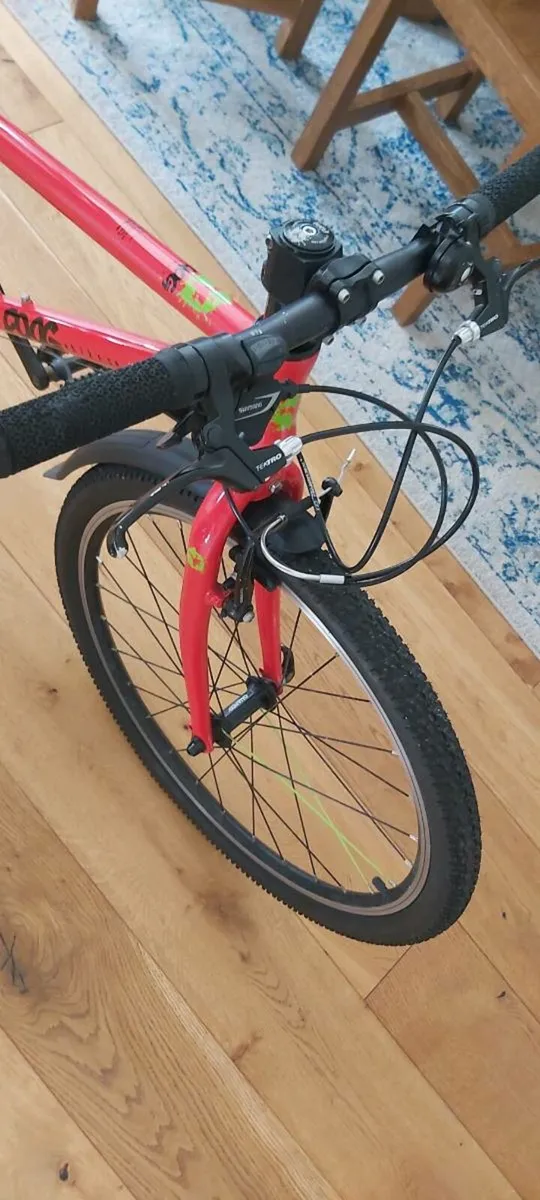 Frog 24 inch bike - Image 1