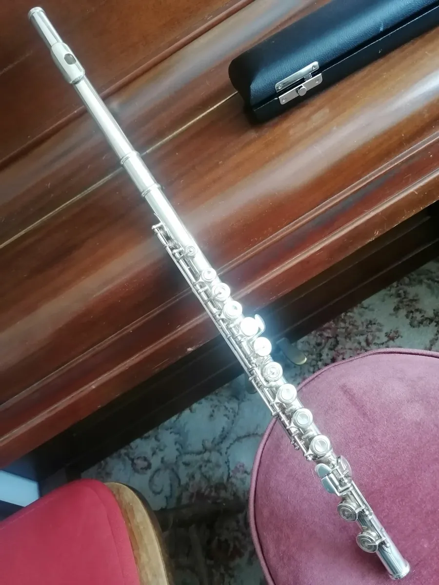 Trever James Privilege flute
