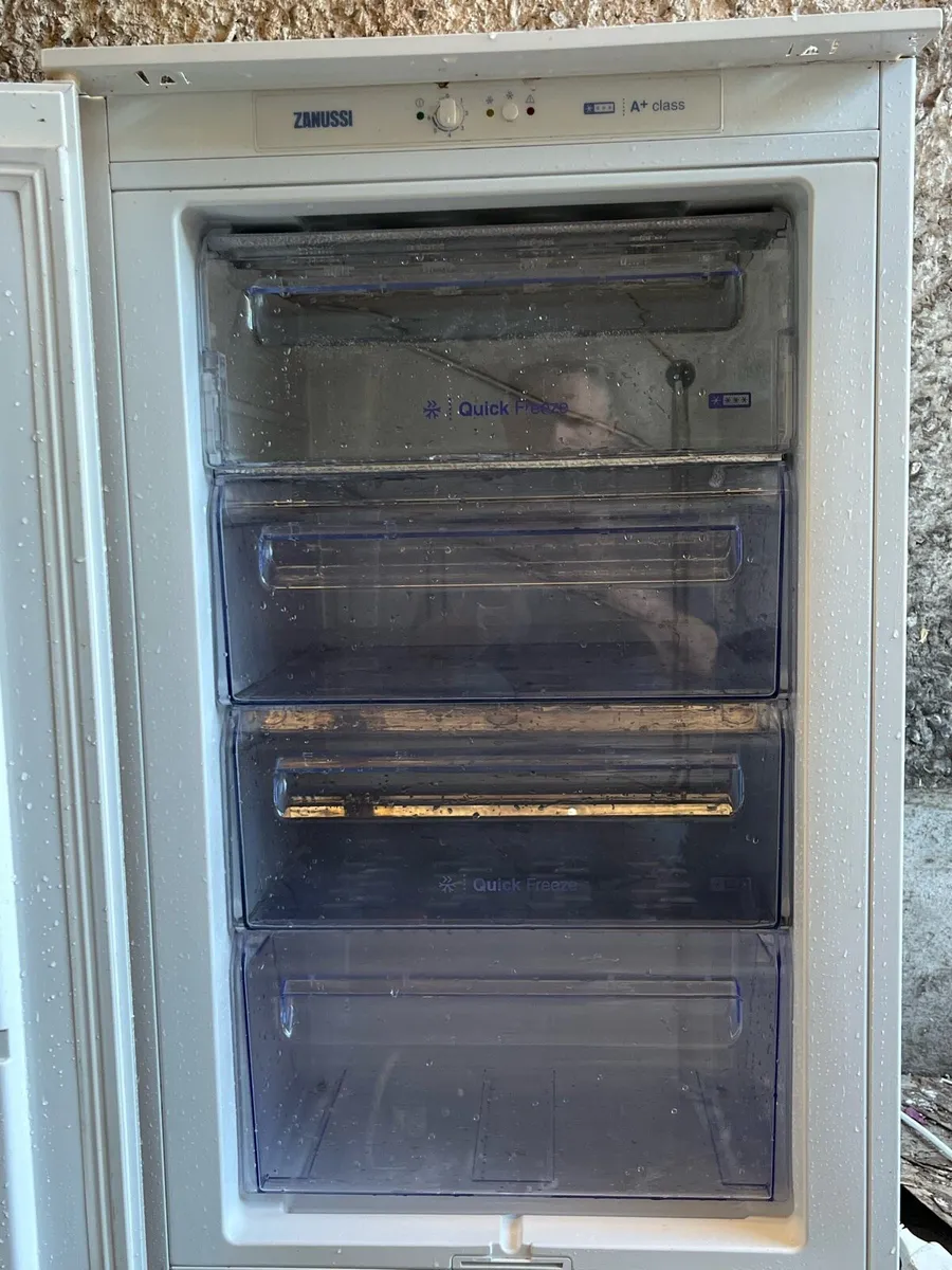 Integrated Freezer - Image 1