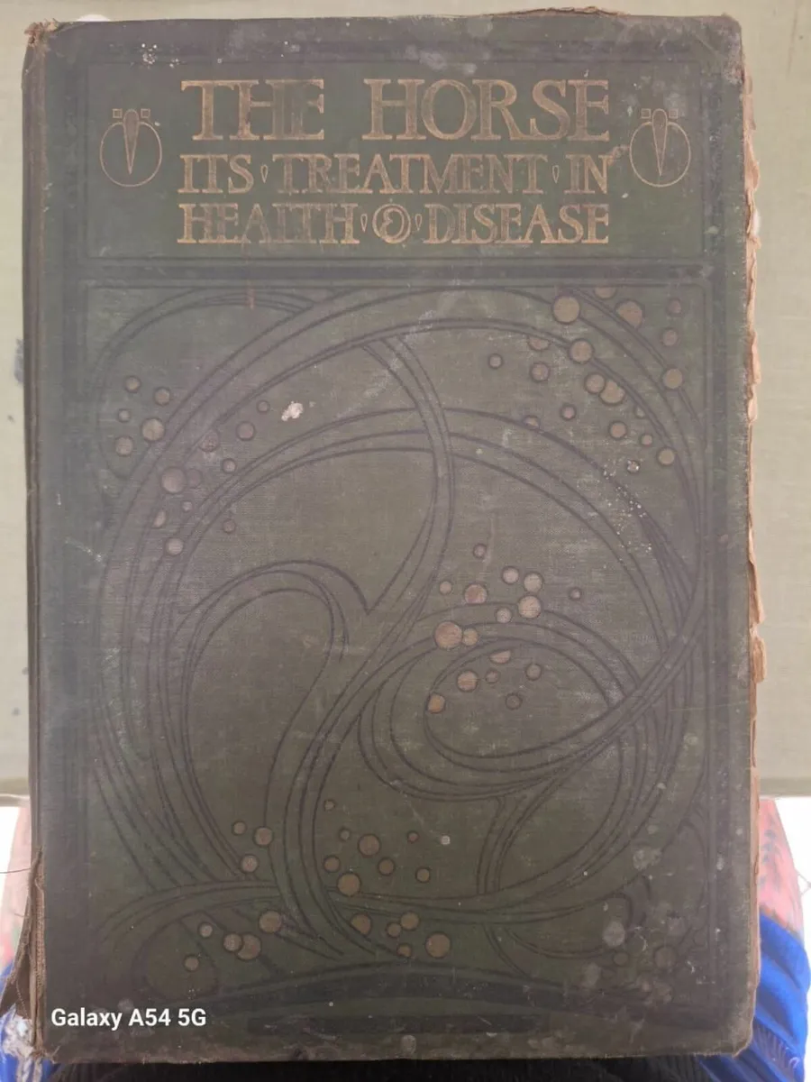 Antique 1906 “The Horse: Its Treatment in Health a - Image 1