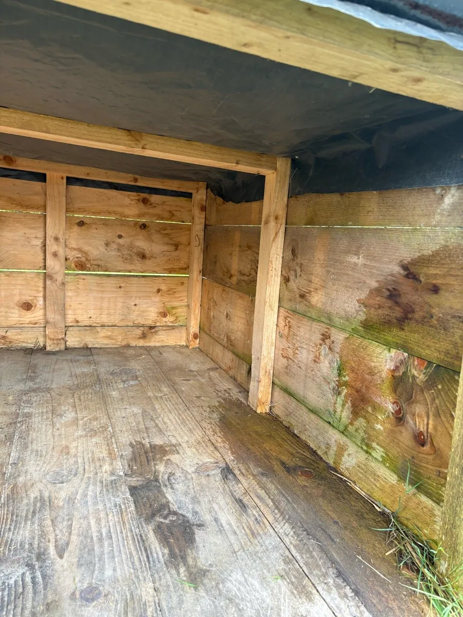 Dog house - Image 4