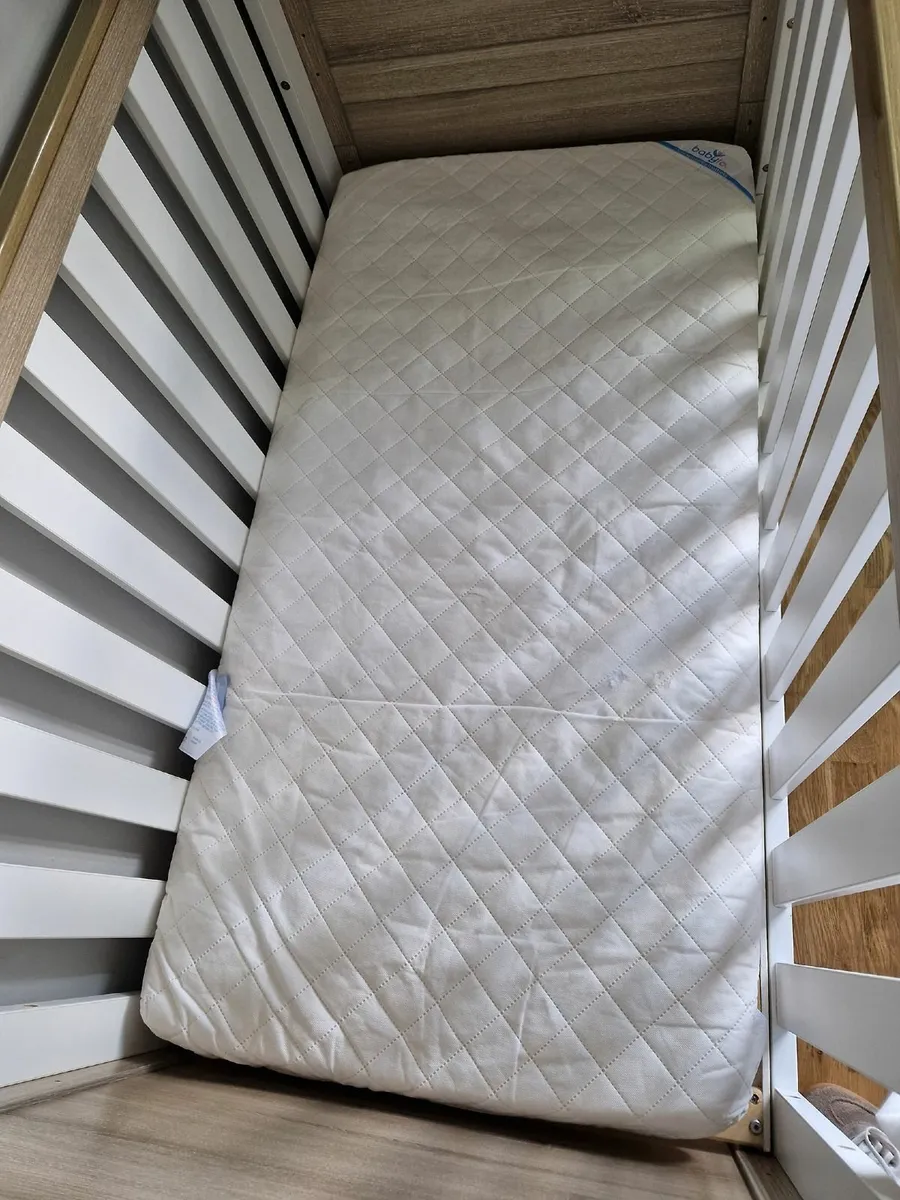 Cot - Image 1