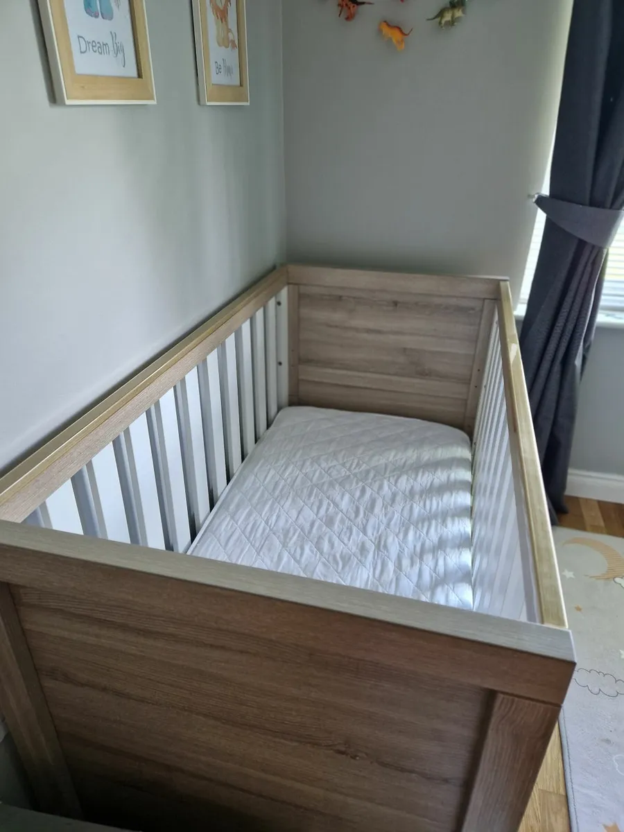 Cot - Image 3