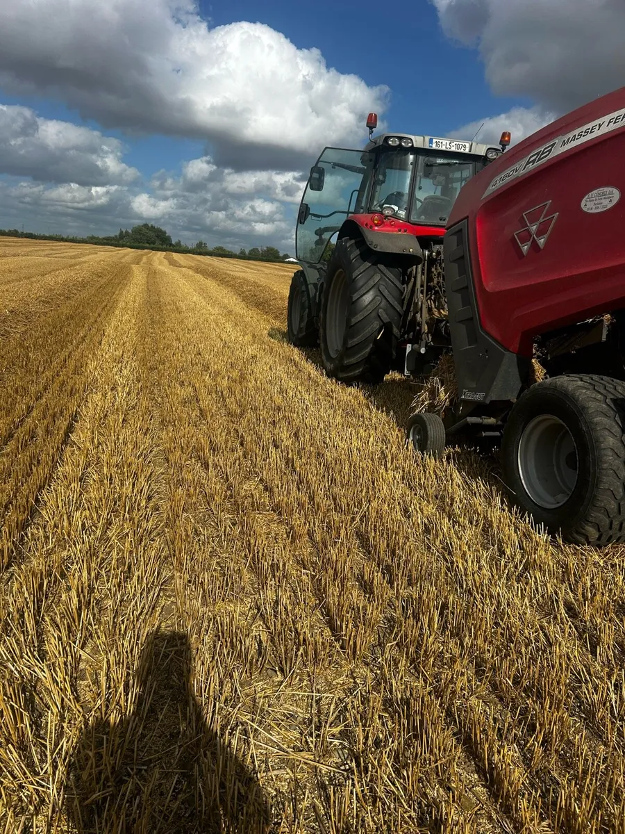 Wheaten Straw