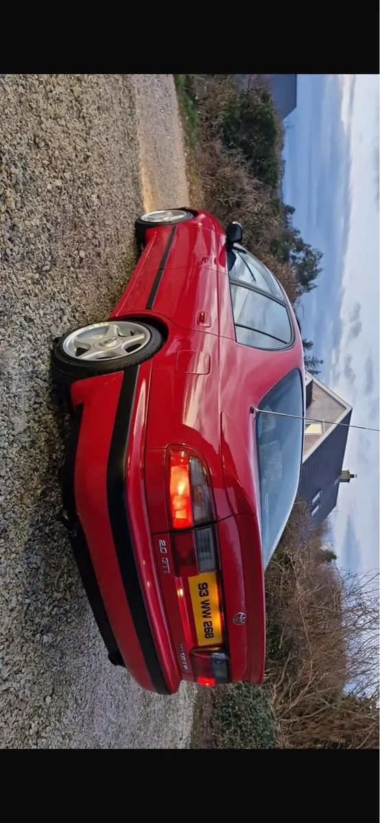 Carina e Gti - Image 4