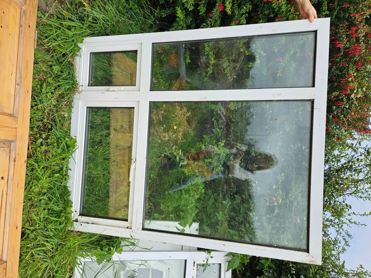 Window